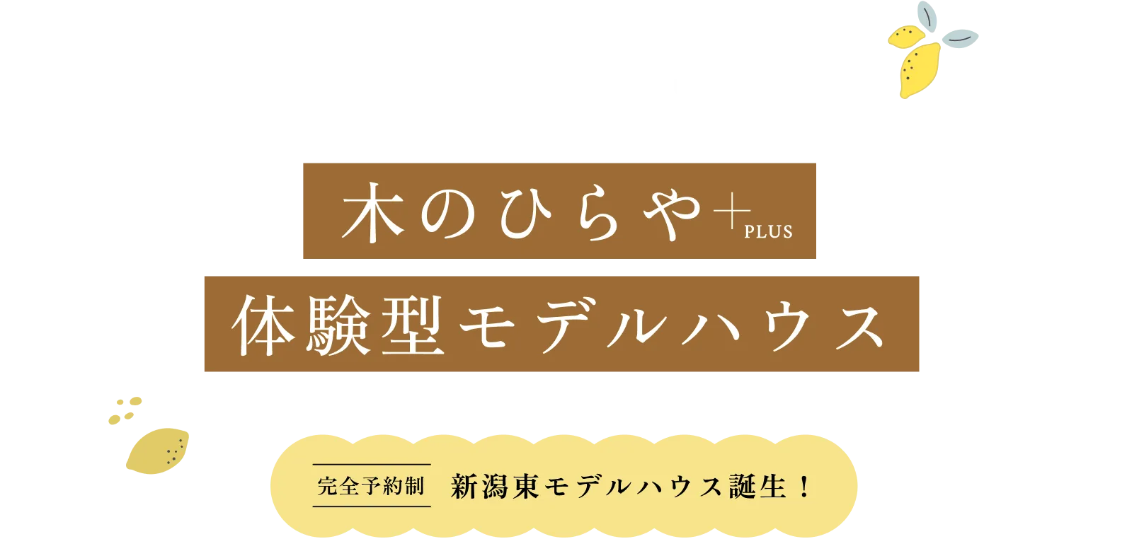 木のひらや体験型モデルハウス