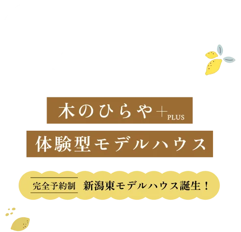 木のひらや体験型モデルハウス