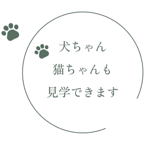 犬ちゃん猫ちゃんも見学できます