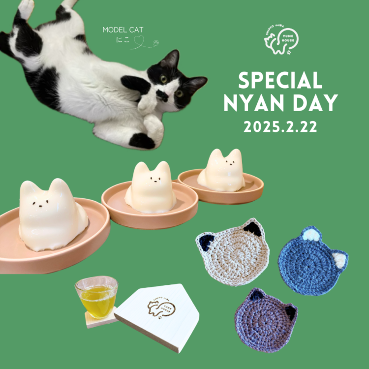 2月22日㊏Specialにゃんデー開催！