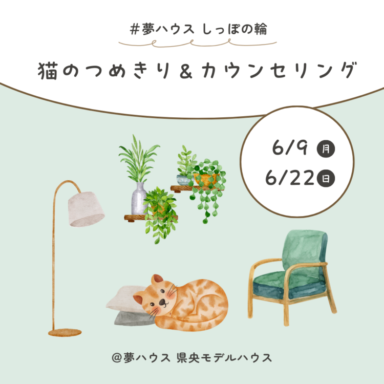猫のつめきり&カウンセリング