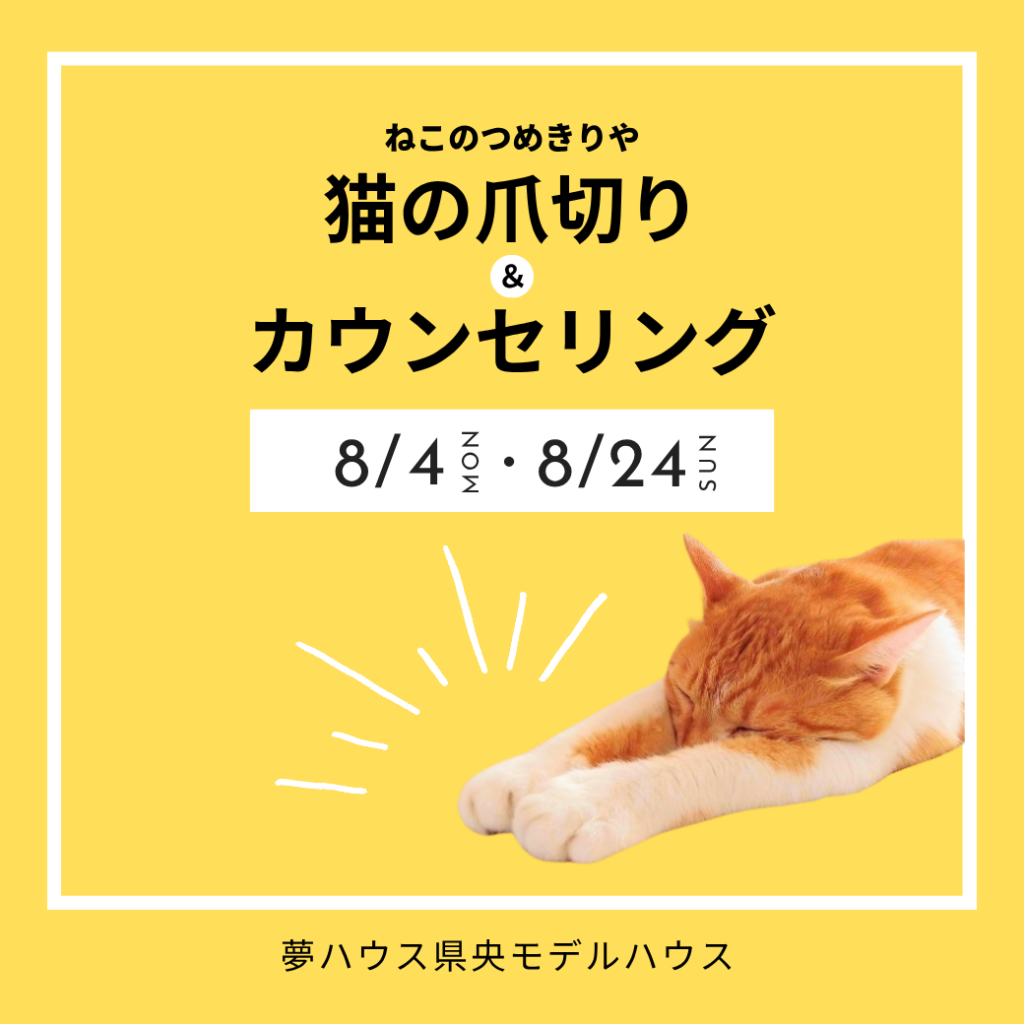 猫のつめきり&カウンセリング