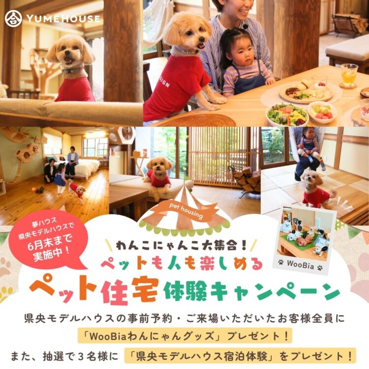 わんこ・にゃんこ大集合！ペットも人も楽しめるペット住宅体験キャンペーン