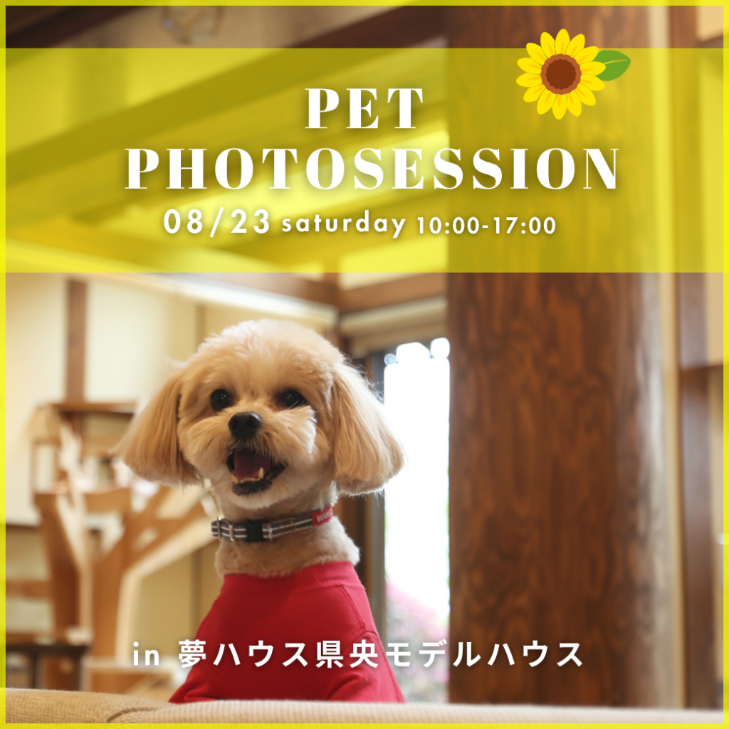 夏の思い出☆彡うちの子撮影会